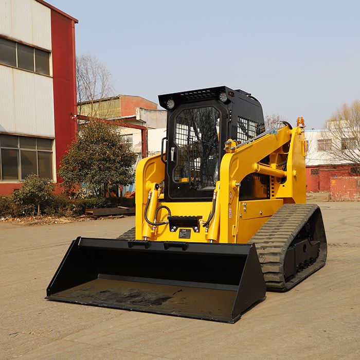 Raupenlader Bagger
