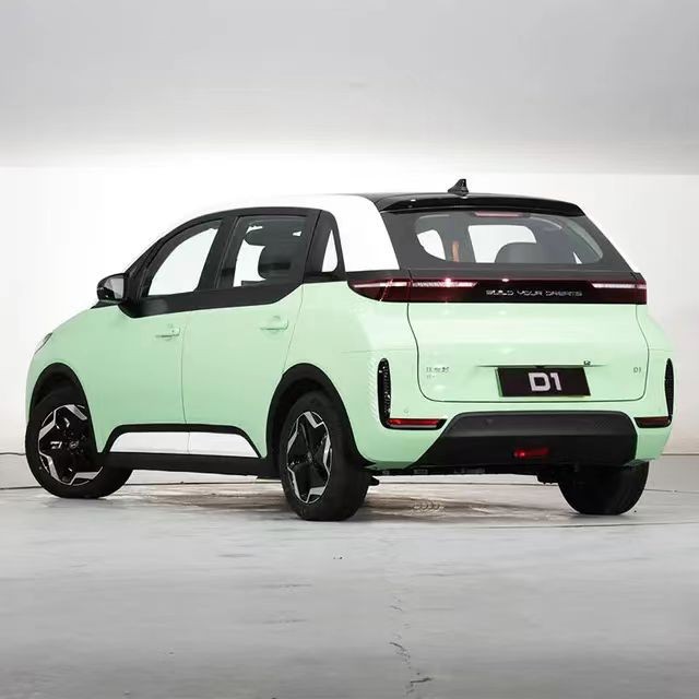 New Energy Electric BYD D1